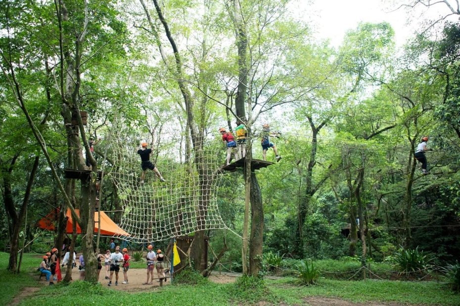 Trò chơi trên cây tại Ozo Park