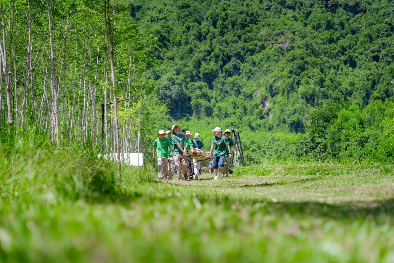 Team building ngoài trời tại Phong Nha Holiday có địa hình rừng cây, suối nước, bãi cỏ, và cả hang động