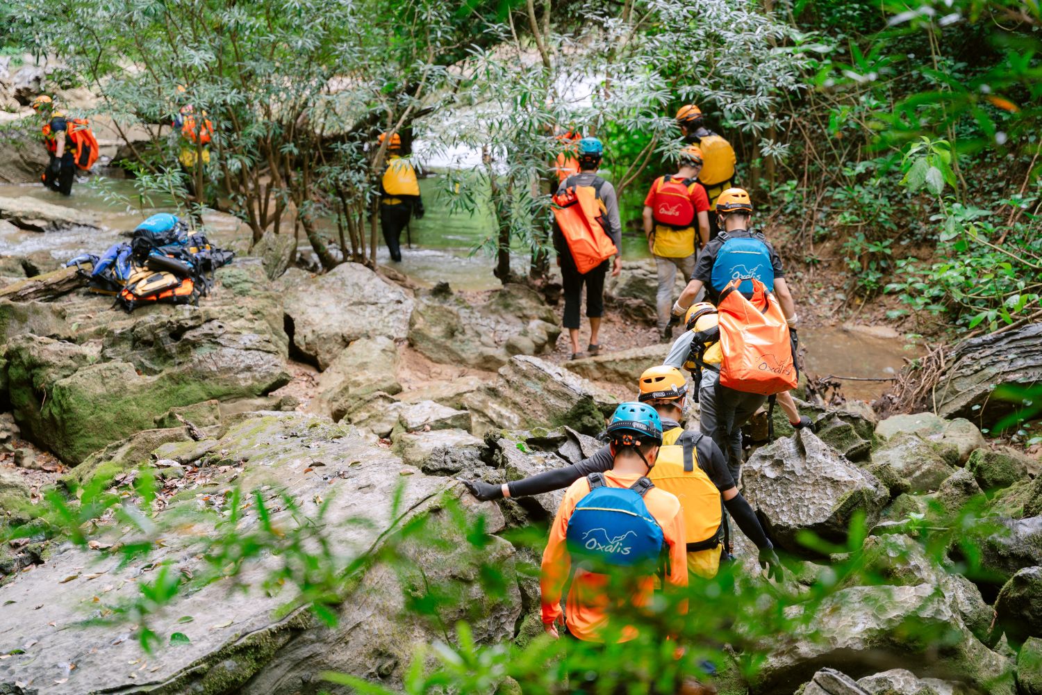 Phong Nha Holiday tổ chức và vận hành các chương trình team building sáng tạo và độc đáp