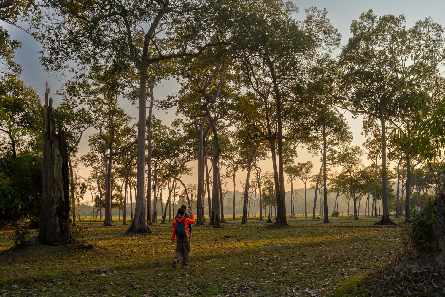 Hoàng hôn trên cánh đồng Tà Lài trong tour hiking ở Cát Tiên